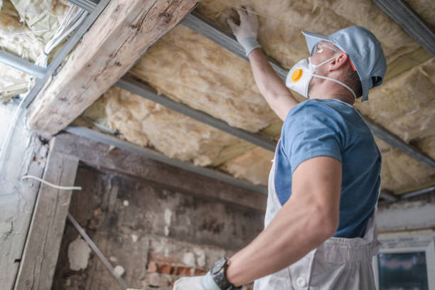 Best Geographic-Specific Insulation Services in Runaway Bay, TX